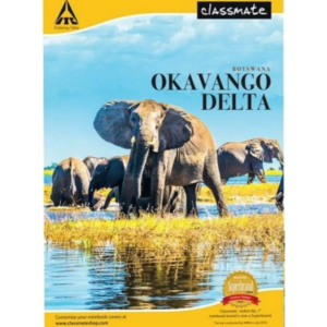 Classmate Unruled Notebook, 256 Pages, 27.2 X 16.7 cm, Pack of 1